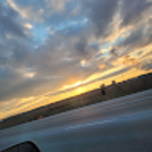 Meet your Posher, Williams